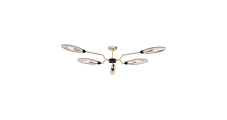 Потолочная люстра Maytoni Ventura MOD012CL-06G