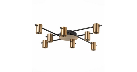 Потолочная люстра ST Luce Veroli SL1207.402.08