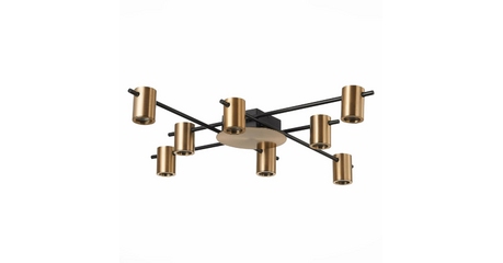 Потолочная люстра ST Luce Veroli SL1207.402.08