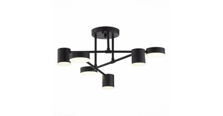 Потолочная светодиодная люстра Evoluce Nobel SLE201042-06