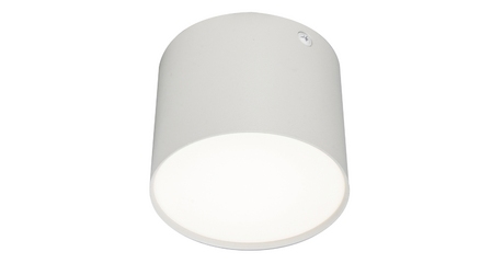 Потолочный светильник 20004 20004SMU/01LED SWH