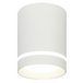 Потолочный светильник 20009 20009SMU/01LED SWH