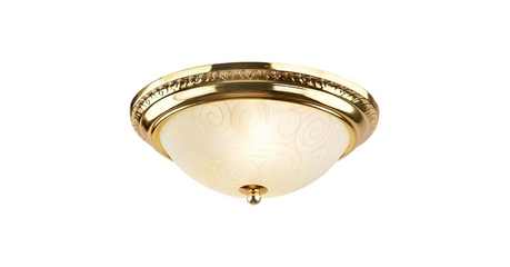 Потолочный светильник Arte Lamp 28 A3013PL-2GO