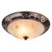 Потолочный светильник Arte Lamp 28 A3014PL-2AC