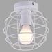 Потолочный светильник Arte Lamp A1110PL-1WH