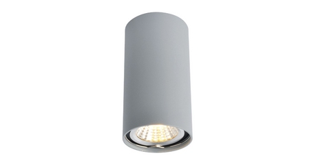 Потолочный светильник Arte Lamp A1516PL-1GY