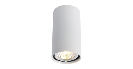 Потолочный светильник Arte Lamp A1516PL-1WH