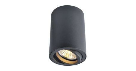 Потолочный светильник Arte Lamp A1560PL-1BK