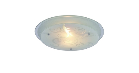 Потолочный светильник Arte Lamp A4865PL-2CC