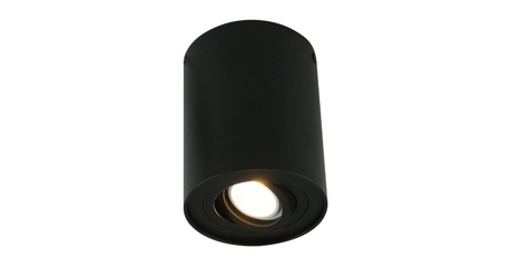 Потолочный светильник Arte Lamp A5644PL-1BK