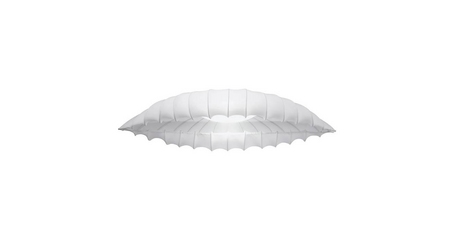 Потолочный светильник Arte Lamp Botticelli A2188PL-2CC