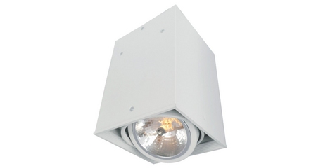 Потолочный светильник Arte Lamp Cardani A5936PL-1WH
