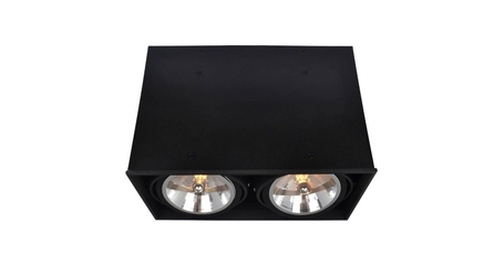 Потолочный светильник Arte Lamp Cardani A5936PL-2BK