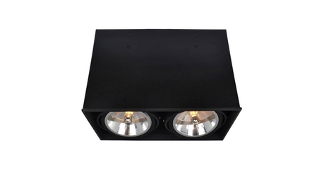 Потолочный светильник Arte Lamp Cardani A5936PL-2BK