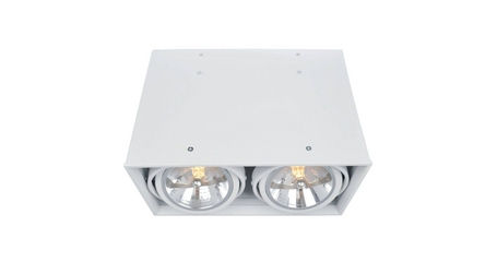 Потолочный светильник Arte Lamp Cardani A5936PL-2WH