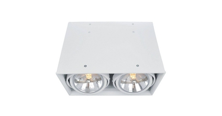 Потолочный светильник Arte Lamp Cardani A5936PL-2WH