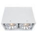 Потолочный светильник Arte Lamp Cardani A5936PL-2WH