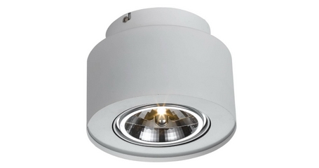 Потолочный светильник Arte Lamp Cliff A5643PL-1WH