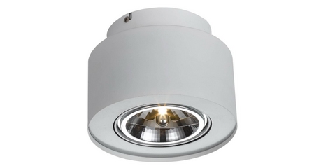 Потолочный светильник Arte Lamp Cliff A5643PL-1WH