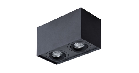 Потолочный светильник Arte Lamp Factor A5544PL-2BK