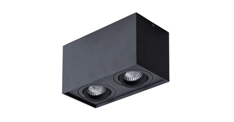 Потолочный светильник Arte Lamp Factor A5544PL-2BK