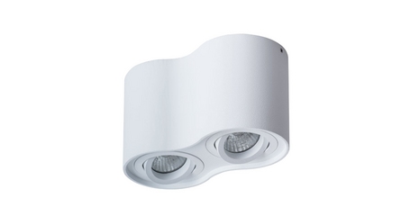 Потолочный светильник Arte Lamp Falcon A5645PL-2WH