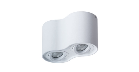 Потолочный светильник Arte Lamp Falcon A5645PL-2WH