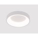 Потолочный светильник Arte Lamp Kurhah A2695PL-40WH