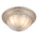 Потолочный светильник Arte Lamp Piatti A8014PL-2WA