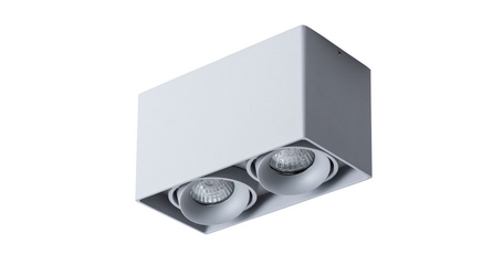 Потолочный светильник Arte Lamp Pictor A5654PL-2GY