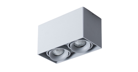 Потолочный светильник Arte Lamp Pictor A5654PL-2GY