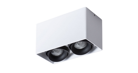 Потолочный светильник Arte Lamp Pictor A5654PL-2WH