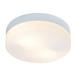 Потолочный светильник Arte Lamp Shirp A3211PL-2WH