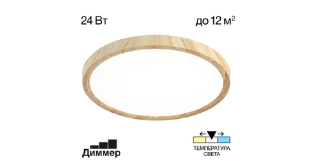 Потолочный светильник Citilux Бейсик CL738242V