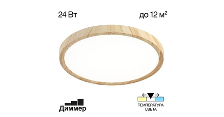 Потолочный светильник Citilux Бейсик CL738242V
