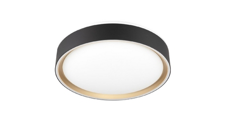 Потолочный светильник Citilux Boss CL751251G