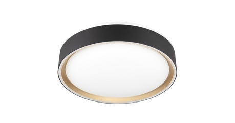 Потолочный светильник Citilux Boss CL751251G