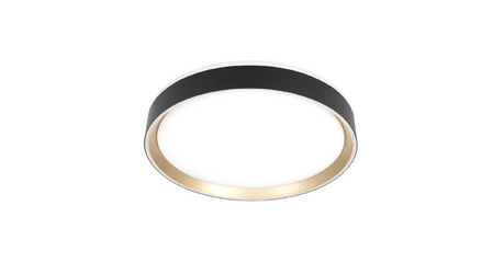 Потолочный светильник Citilux Boss CL751351G