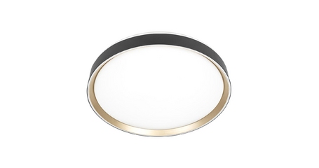 Потолочный светильник Citilux Boss CL751451G