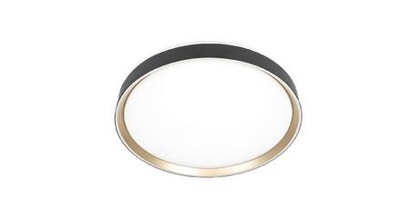 Потолочный светильник Citilux Boss CL751451G