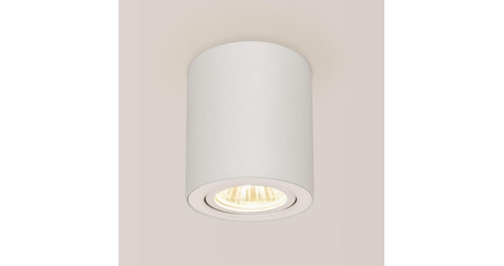 Потолочный светильник Citilux Дюрен CL538111