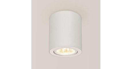 Потолочный светильник Citilux Дюрен CL538111