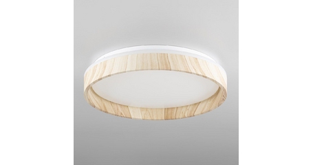 Потолочный светильник Citilux Enzo CL753352G