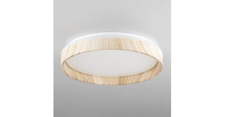 Потолочный светильник Citilux Enzo CL753352G
