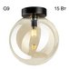 Потолочный светильник Citilux Orton CL202512