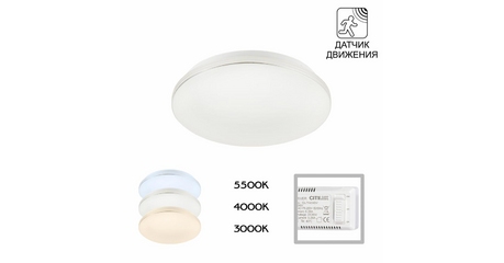 Потолочный светильник Citilux Симпла CL71424SV