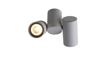 Потолочный светильник Divinare Gavroche 1354/03 PL-2