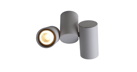 Потолочный светильник Divinare Gavroche 1354/03 PL-2