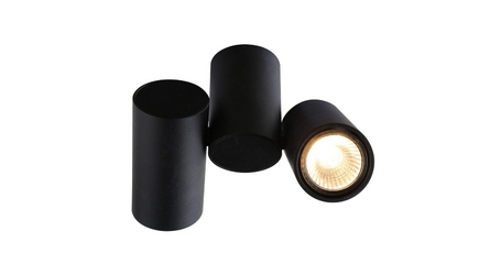 Потолочный светильник Divinare Gavroche 1354/04 PL-2