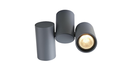 Потолочный светильник Divinare Gavroche 1354/05 PL-2